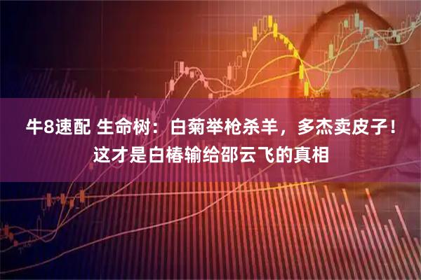牛8速配 生命树：白菊举枪杀羊，多杰卖皮子！这才是白椿输给邵云飞的真相